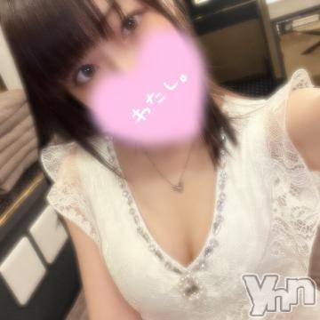 甲府ソープ石蹄(セキテイ) たまき(28)の4月3日写メブログ「🤍何回戦する？🤍」