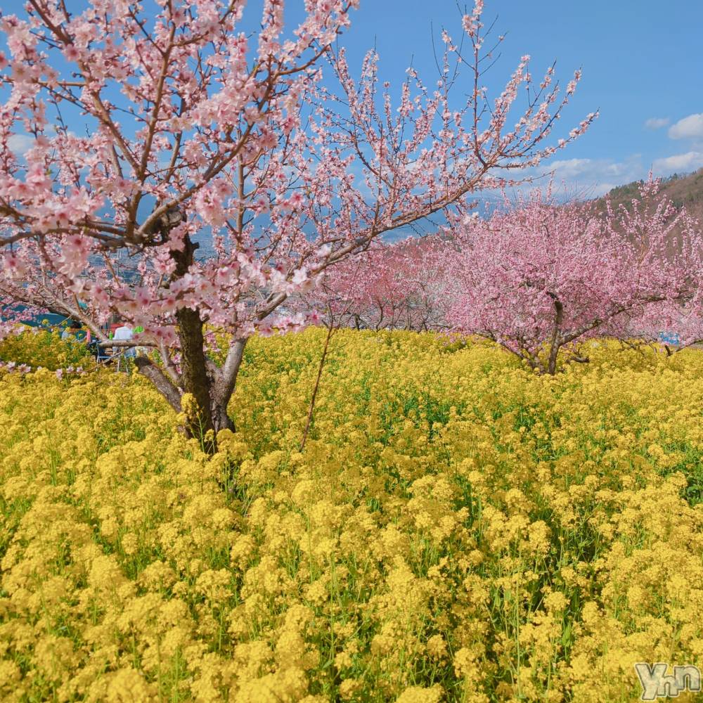 ���ܥ���Х��顦�����CLUB WONDER(����� ������) ��������4��7���̥�֥��������β֤ޤĤ� ����2��