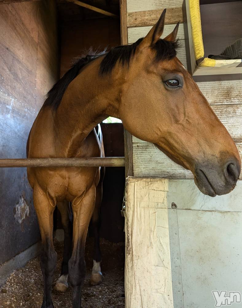 ���ܥ���Х��顦�����CLUB WONDER(����� ������) ��������7��25���̥�֥����֥����ԥ󥰤��í����λҤΤ��㤵���ï�Ǥ��礦��