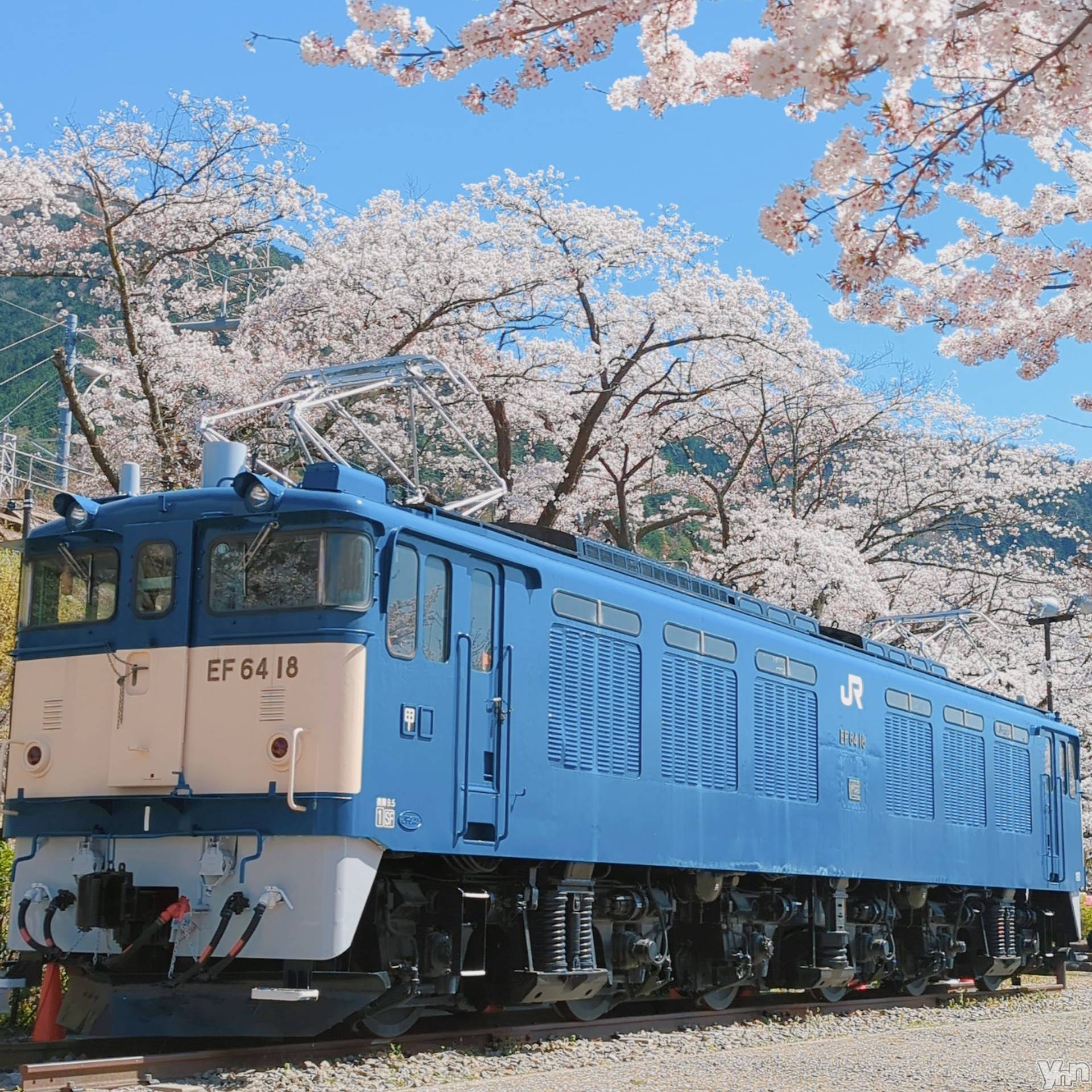 ���ܥ���Х��顦�����CLUB WONDER(����� ������) ��2024ǯ4��11���̥�֥����֤����Ǥ�����