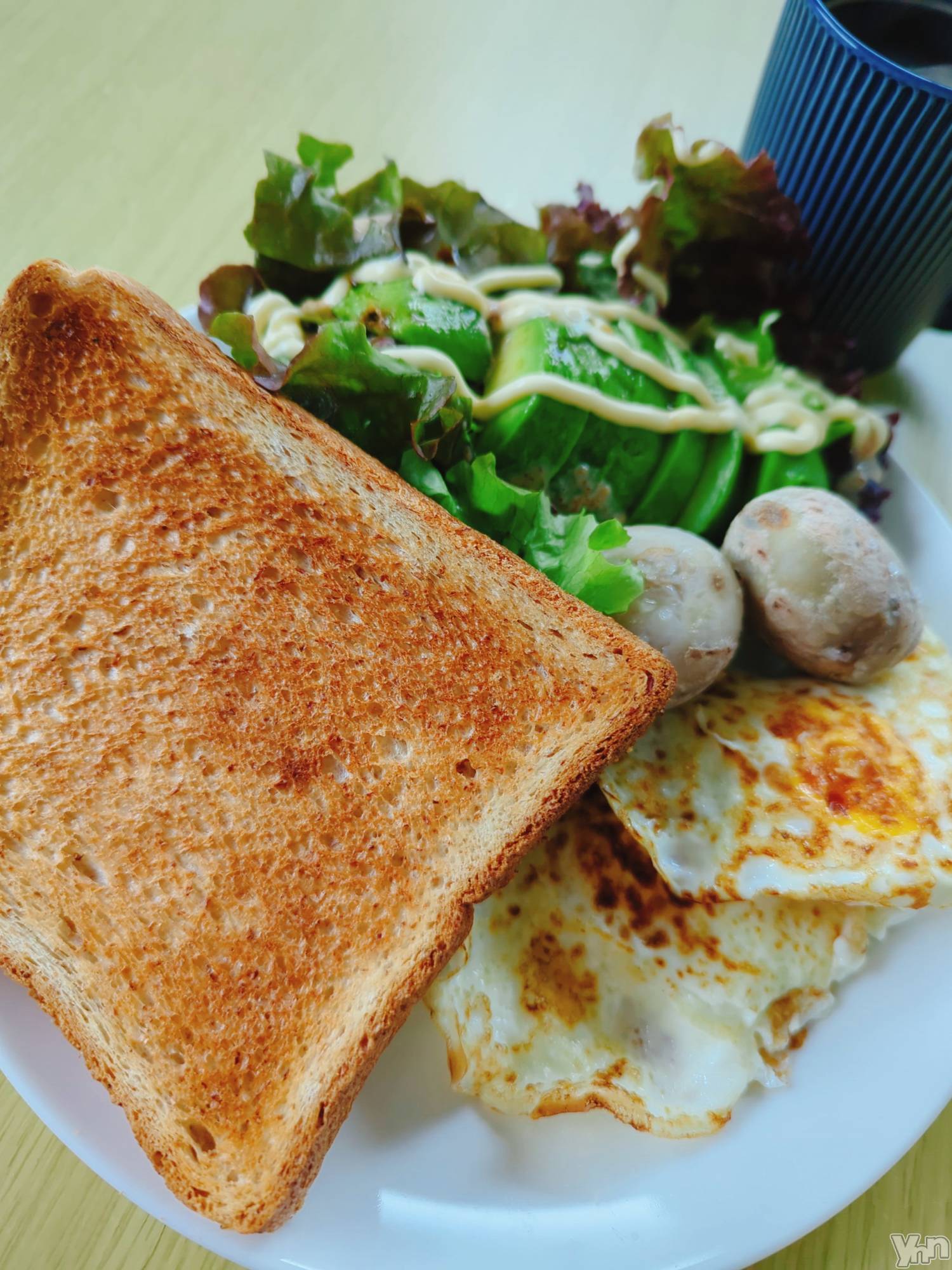 ���ܥ���Х��顦�����CLUB WONDER(����� ������) ��2024ǯ11��21���̥�֥����ֽ��Ҥäƥ��ܥ��ɹ�����͡�