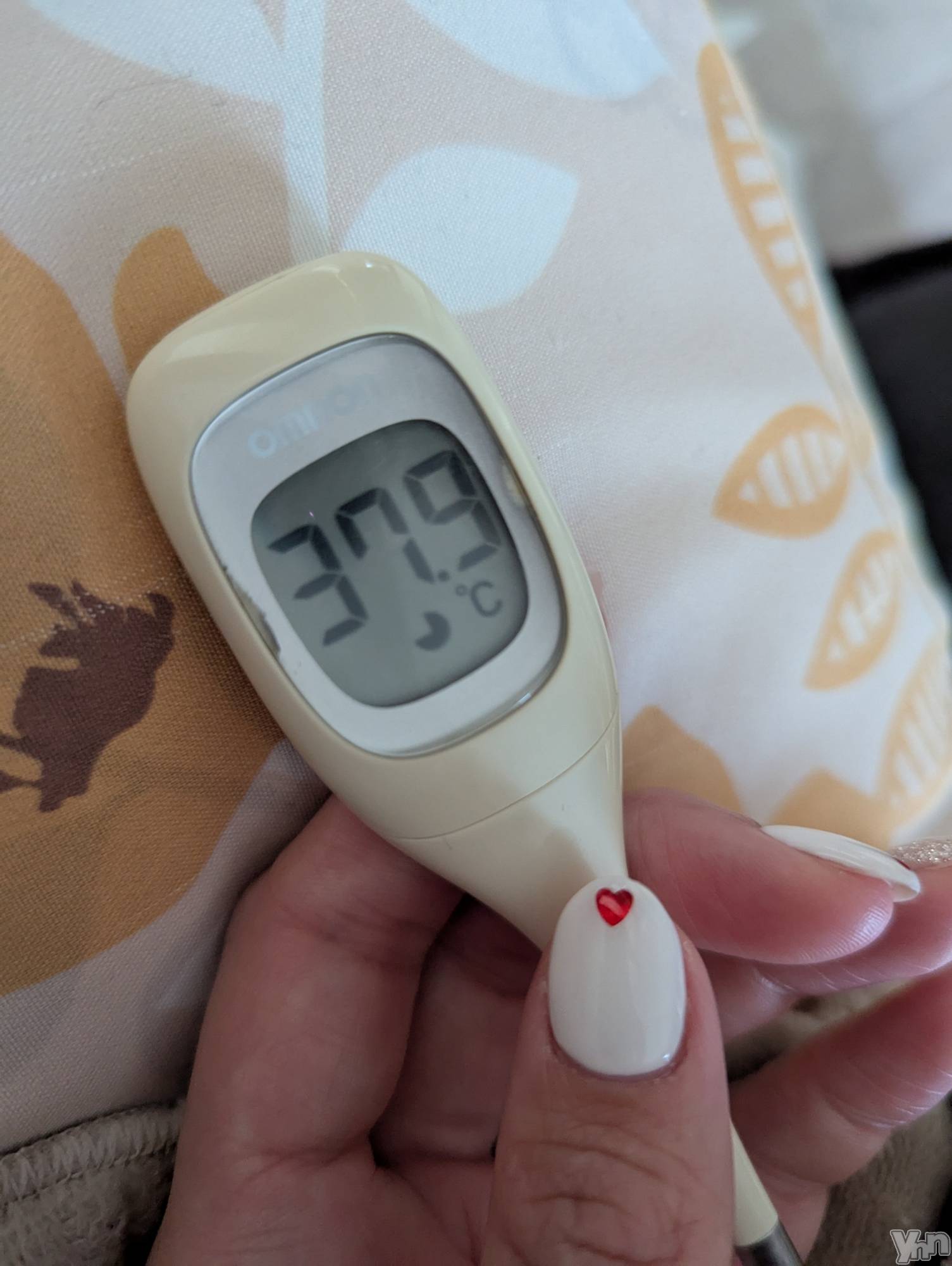 ���ܥ���Х��顦�����CLUB WONDER(����� ������) ��2024ǯ12��18���̥�֥����ֵ��