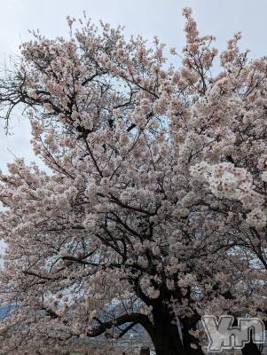 ���ܥ���Х��顦�����CLUB WONDER(����� ������) ������(99)��3��28���̥�֥����ֺ�����ͽ�ۡ�