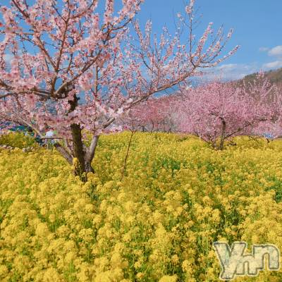 ���ܥ���Х��顦�����CLUB WONDER(����� ������) ������(99)��4��7���̥�֥��������β֤ޤĤ� ����2��