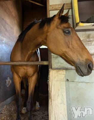 ���ܥ���Х��顦�����CLUB WONDER(����� ������) ������(99)��7��25���̥�֥����֥����ԥ󥰤��í����λҤΤ��㤵���ï�Ǥ��礦��