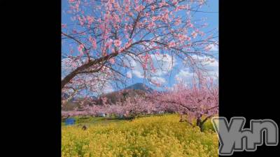 ��ʴ�ɤ�����