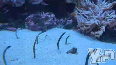 ����餷�Ƥ�