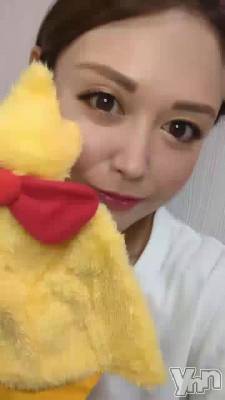 Halloween�Ǥ���🎃