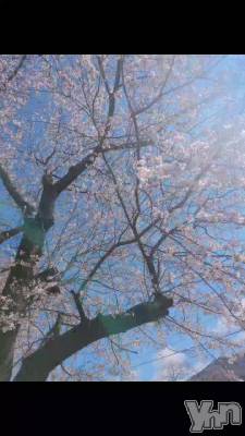 ��ŷ���ʤΤ�