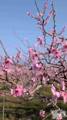 �����֤ǡ���