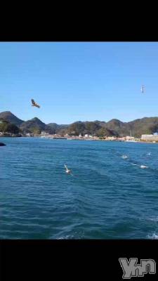 ���饵���Ǥ���θ�����Τ��