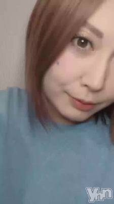 21��Ⱦ����Ǥ�