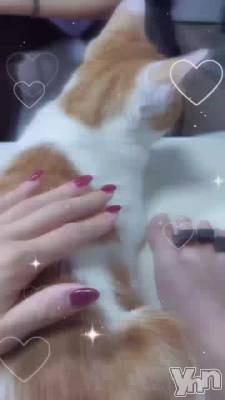 ���䤷���