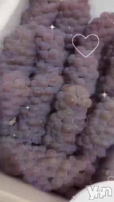 ��ǯ�⤤�������ޤ���♡�����βƤ��Ϥޤä���!!