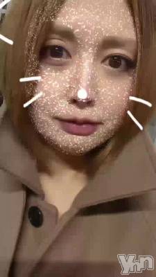 ����Ⱦü�ʤΤ�