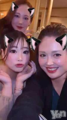 Ͷ�äƤ�������