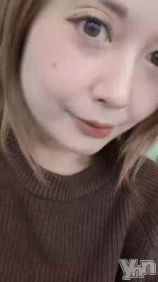 ��ʢ�������ޤ���