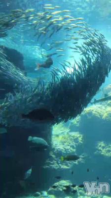 ���Ԥ�����