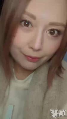 �ƹ������