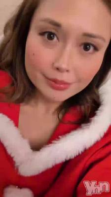 WONDER Xmas2����