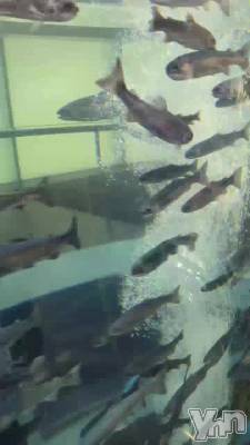 �����ʸ���