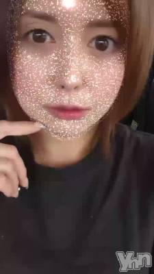 �����뱫����