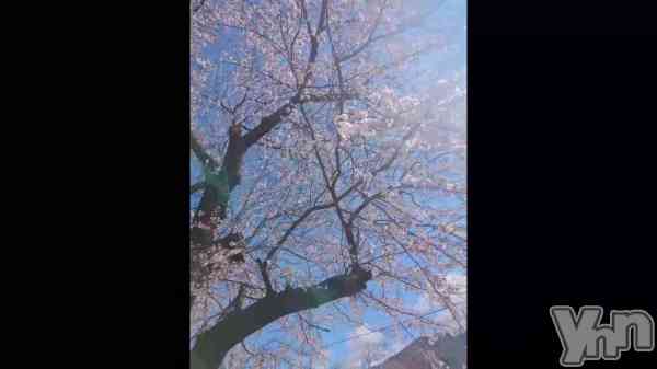 �֤�ŷ���ʤΤǡ�