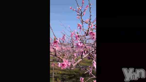 �ֽ����֤ǡ�����