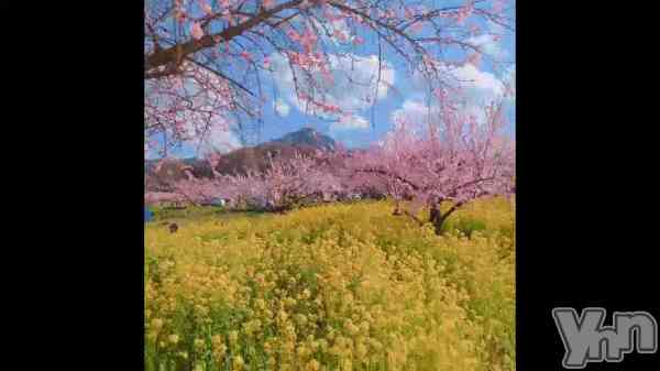 �ֲ�ʴ�ɤ����ɡ�