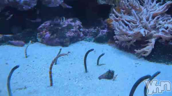 �֤���餷�Ƥ��