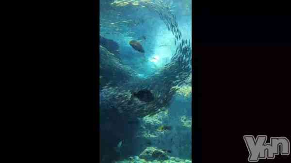 �ֳ��Ԥ�������