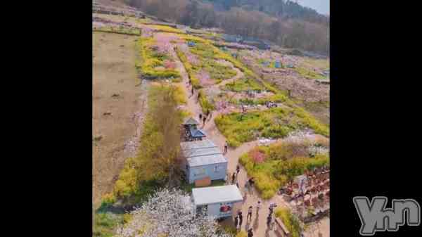 �����β֤ޤĤ� ����1��