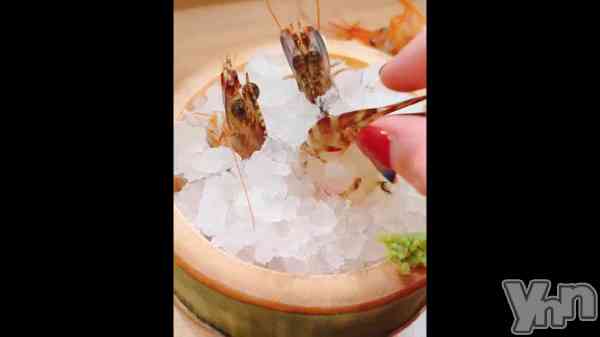 ���٤꿩����