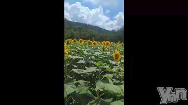 �ֲƤλפ��С�