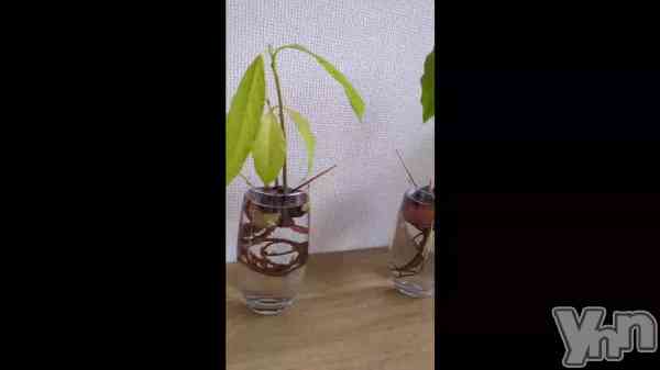 �֥��ܤ���󥺡�