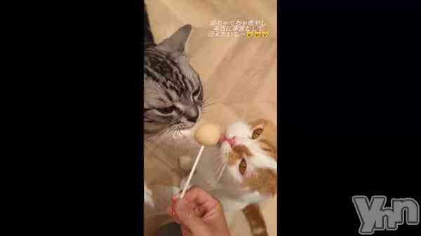 �������֤̤����