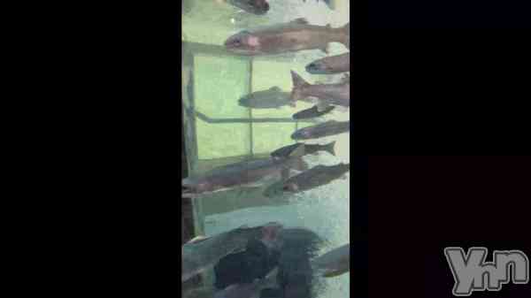 �֤����ʸ����