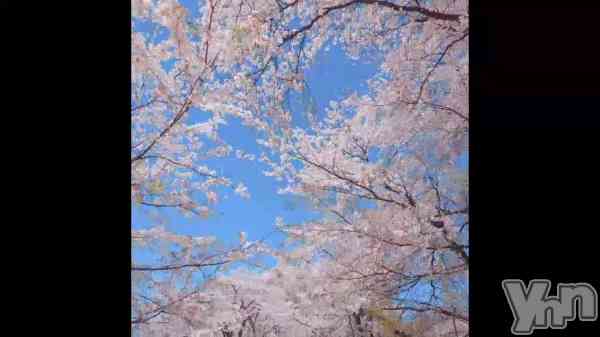 �֤ɤ����狼�뤫��??��