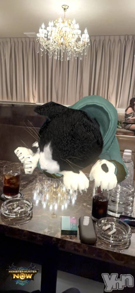 ���ܥ���Х��顦�����CLUB WONDER(����� ������) ������1��7���̥�֥����֤��꤬���ʥ�֥��󥰤ǤⰦ��������Ƥ�Ρ�