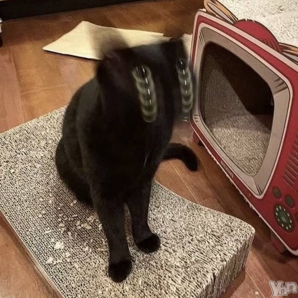 ���ܥ���Х��顦�����CLUB WONDER(����� ������) ������1��23���̥�֥����֥ͥå���