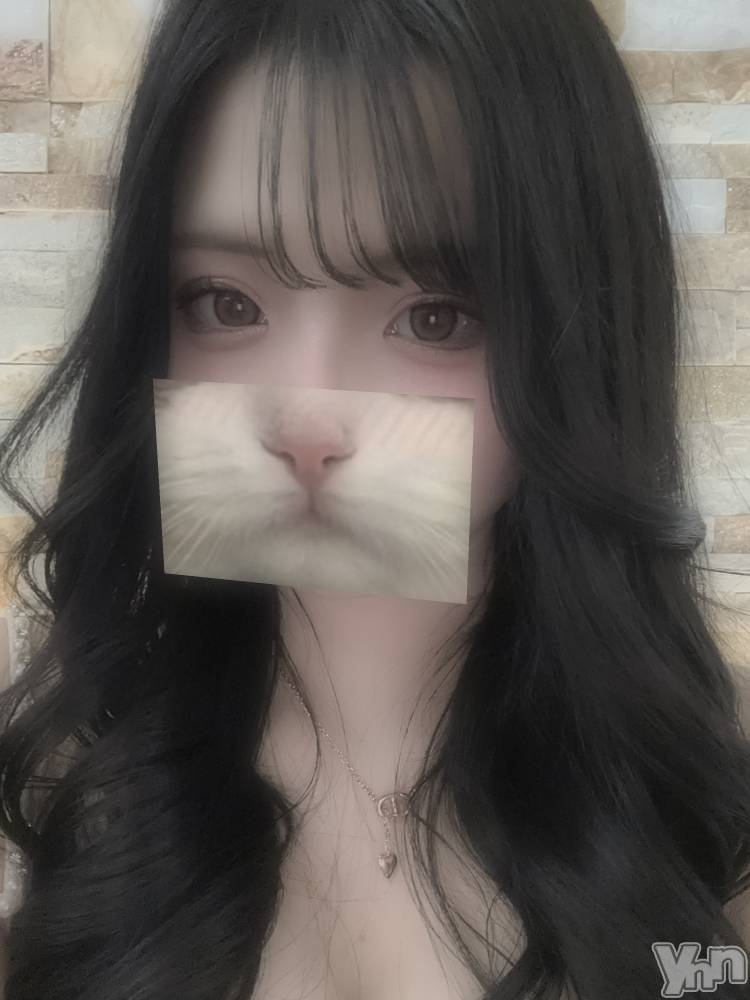 ���ܥ���Х��顦�����CLUB WONDER(����� ������) ������1��31���̥�֥�����🐈‍⬛��