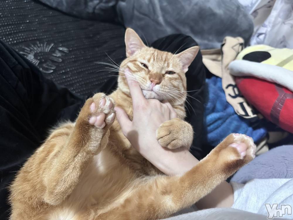 ���ܥ���Х��顦�����CLUB WONDER(����� ������) ������4��16���̥�֥�����👶🏻🍼🤍��