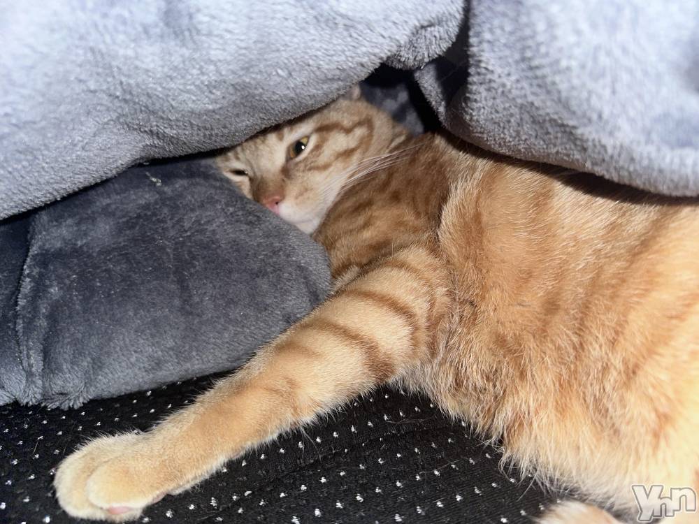 ���ܥ���Х��顦�����CLUB WONDER(����� ������) ������4��20���̥�֥�����🙈🙊��