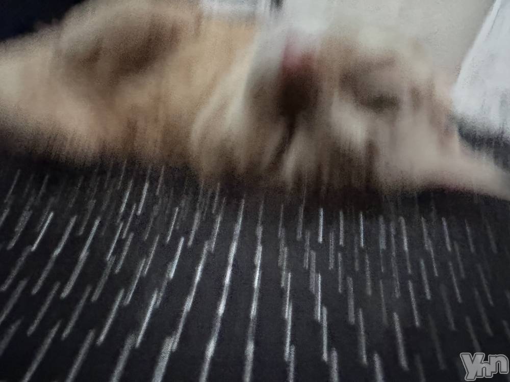 ���ܥ���Х��顦�����CLUB WONDER(����� ������) ������5��29���̥�֥�����(ᐢᴖ ·̫ ᴖᐢ)👍🏻⭐️��