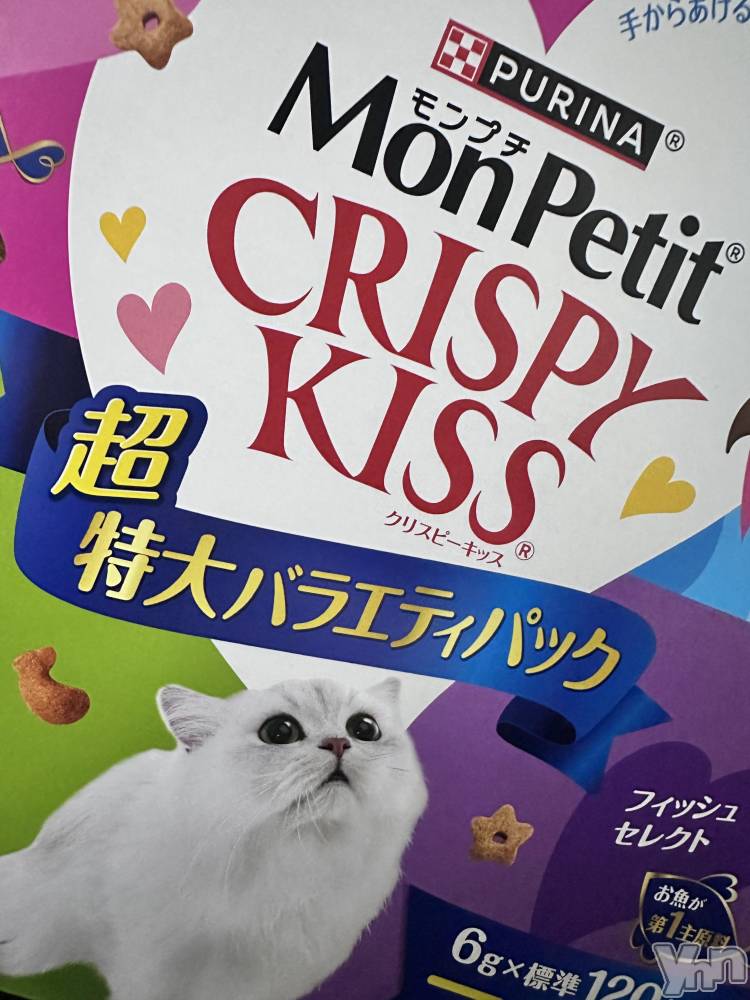 ���ܥ���Х��顦�����CLUB WONDER(����� ������) ������7��11���̥�֥�����🐈🐾��