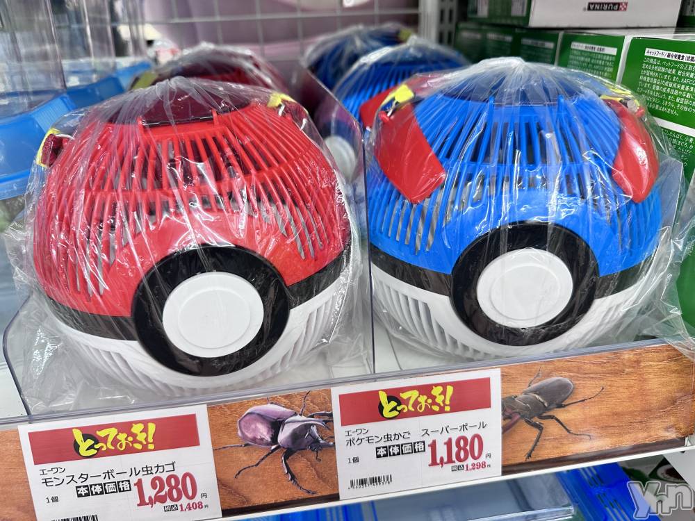 ���ܥ���Х��顦�����CLUB WONDER(����� ������) ������8��17���̥�֥����ַ������򿮤��Ƥ�����