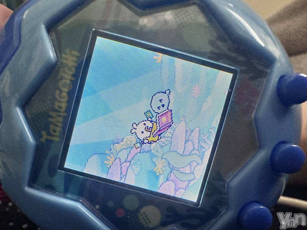 ���ܥ���Х��顦�����CLUB WONDER(����� ������) ������9��6���̥�֥������뤬ī�˾ä��Ƥ��ä��Ρ�