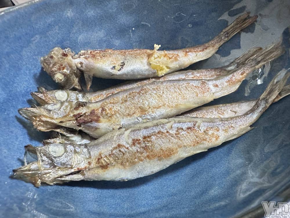 ���ܥ���Х��顦�����CLUB WONDER(����� ������) ������9��7���̥�֥����ְ����ʤ��ǡ���ʳ����