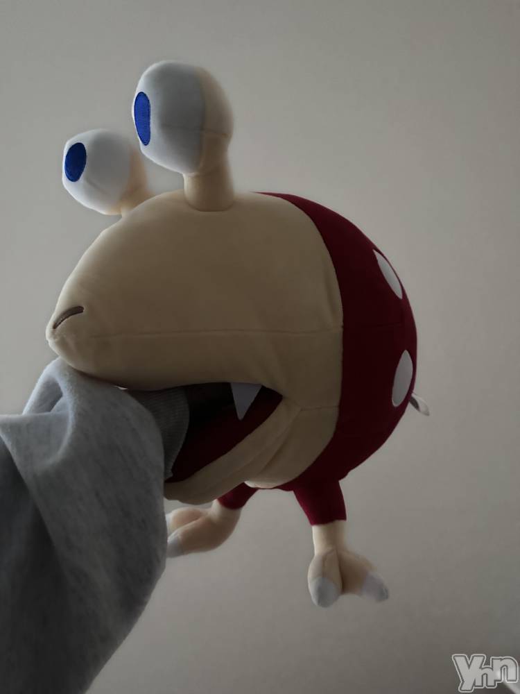 ���ܥ���Х��顦�����CLUB WONDER(����� ������) ������10��9���̥�֥����֤����ܤ򸫤Ƥ�Х�������������