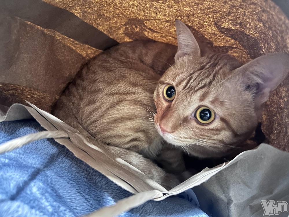 ���ܥ���Х��顦�����CLUB WONDER(����� ������) ������11��7���̥�֥����ֽв�ä���äƤ��餢�����İ����Ρ�